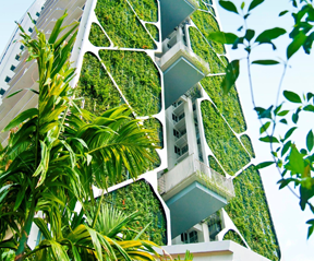 Instalación y Gestión de Edificios Sustentables e Inteligentes, DiGE-SI